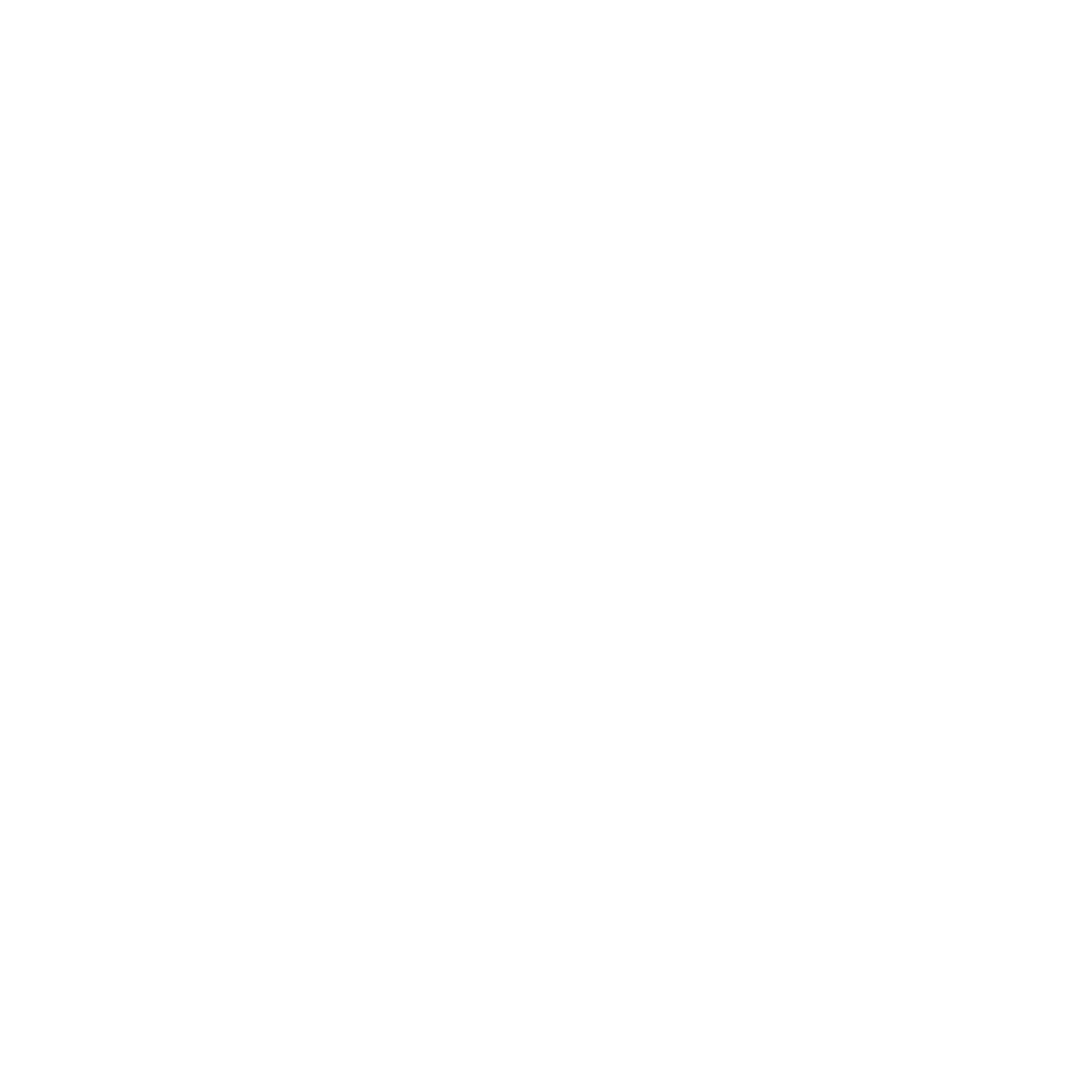 Vivo Logo